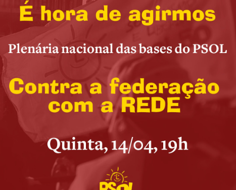 PSOL – Contra a federação com a REDE !